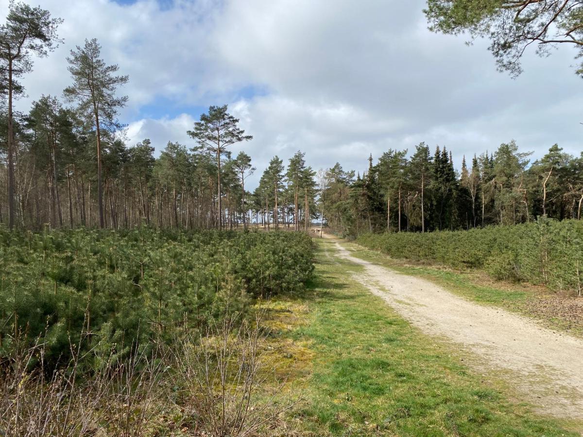Вилла Chalet Dennenvelt Doornspijk Экстерьер фото