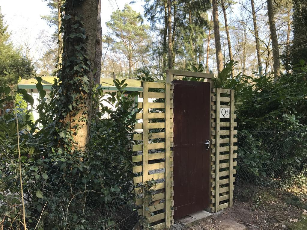 Вилла Chalet Dennenvelt Doornspijk Экстерьер фото